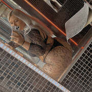 Karina party (Foto #3)