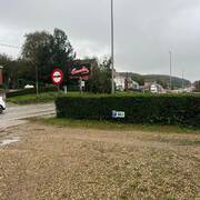 Cafe camelia (Foto #5)