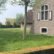 Amy’s Secret Garden (Foto #11)