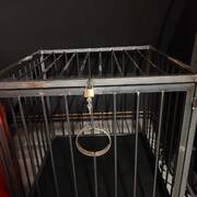 Mrs.Mazikeen (Foto #4)