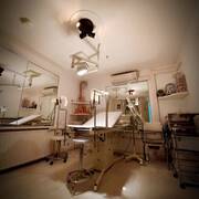 Domination Palace (Foto #1)