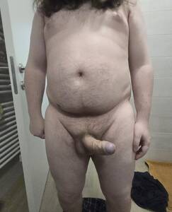 Sander