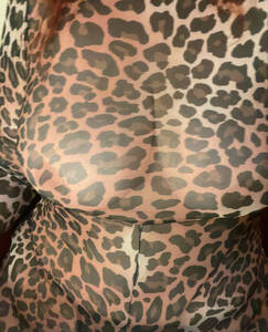 cougarfantasy (virtueel en motel)