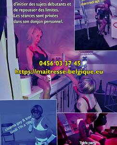 sisi dispo waterloo