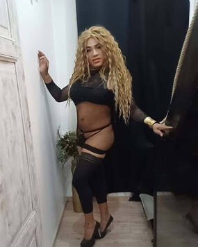 TRANS  STELLA
