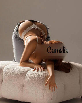 Camélia