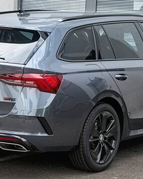 Benelux prive taxi chauffeur/airport & escort