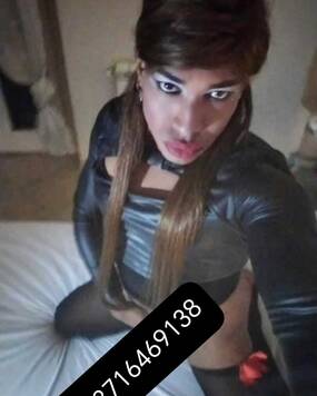 TAMARA THE STALLIONS