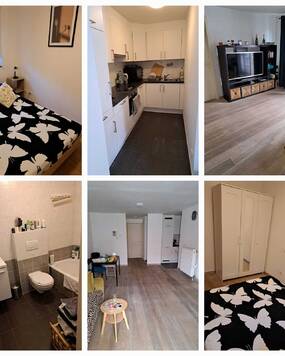 Apartament zee