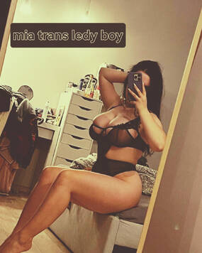 trans mia