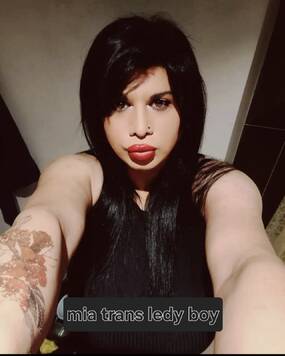 trans mia