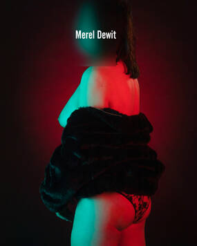 MEREL DEWIT