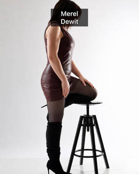 MEREL DEWIT