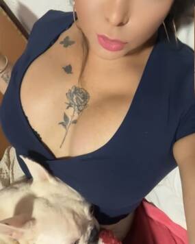 exotic body