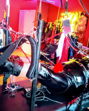 Mistress Niki