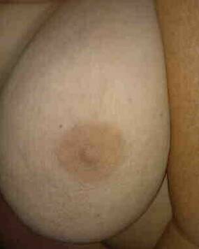 vollere damexx promo