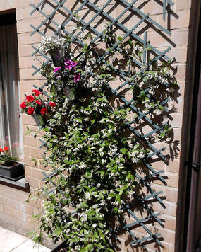 GOEDKOOPSTE CHAUFFEUR