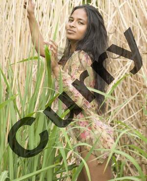 Curry 100 % NED_M_Vr & Koppels