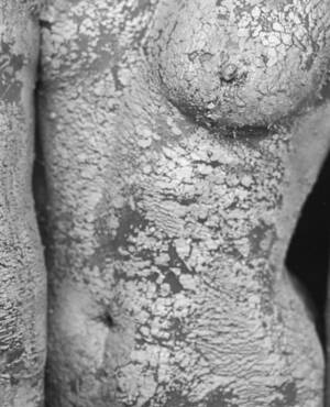 Atelier des reves