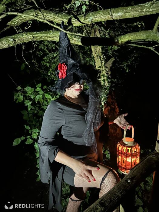 Vlaamse Lieve Dame (Foto)