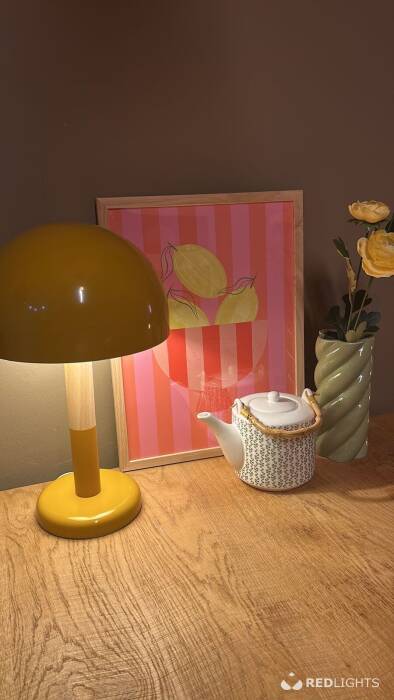 Appartement Blankenberge (Foto)