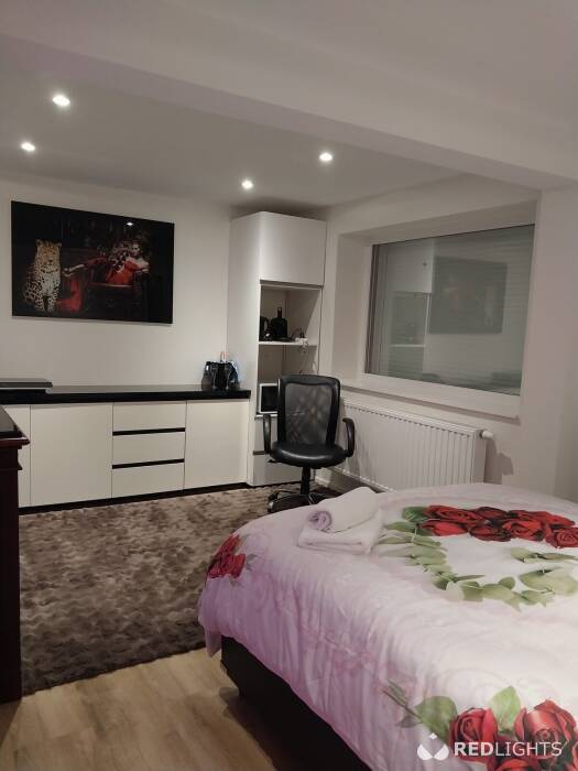 Kamer verhuur - room for rent - Regio Waregem (Foto)