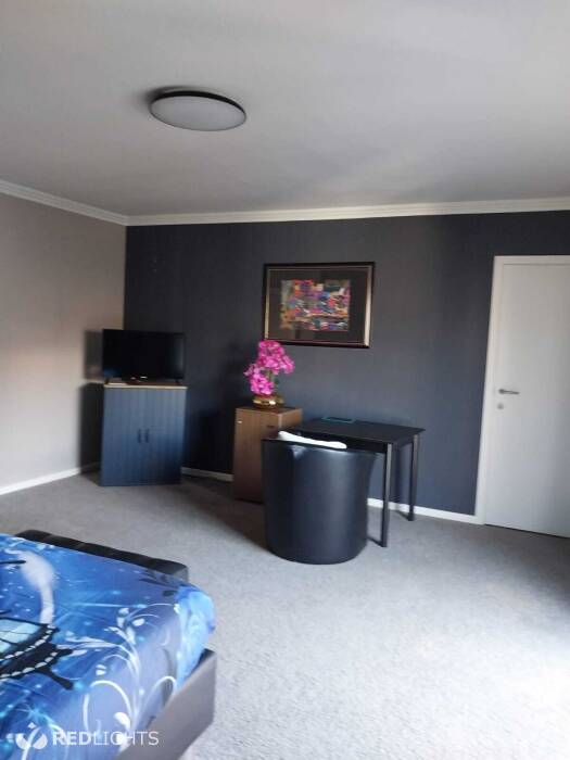 Kamer verhuur - room for rent - Regio Waregem (Foto)