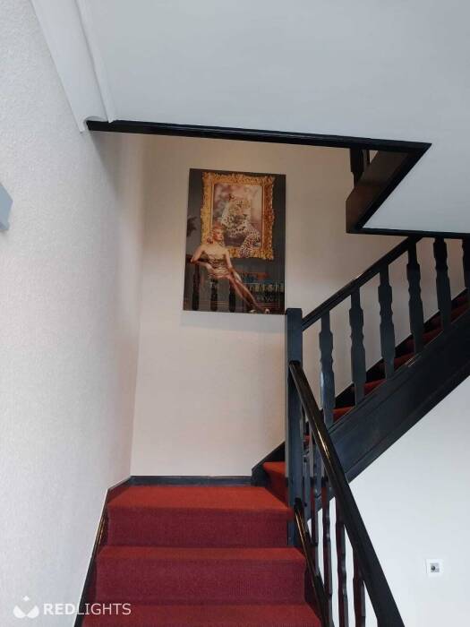 Kamer verhuur - room for rent - Regio Waregem (Foto)