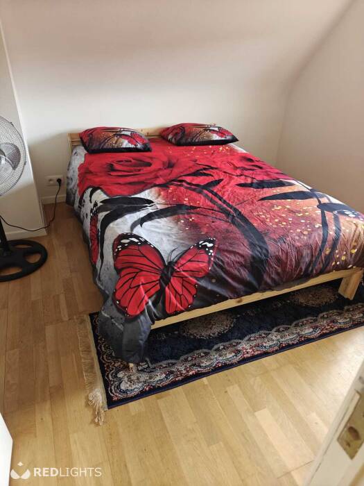 Kamer verhuur - room for rent - Regio Waregem (Foto)