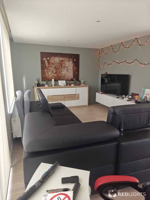 Kamer verhuur - room for rent - Regio Waregem (Foto)