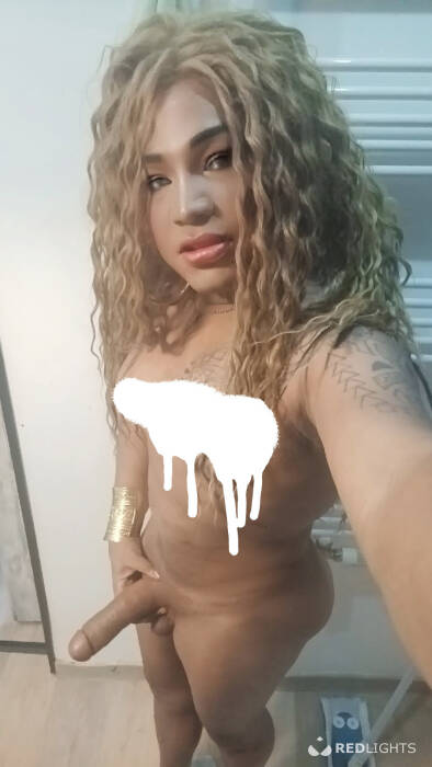 TRANS HOT (Foto)
