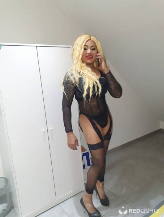 TRANS HOT (Foto)