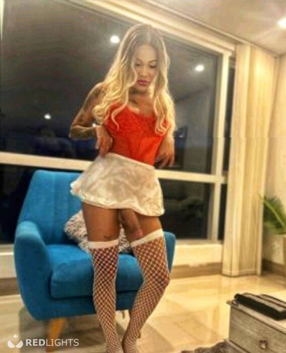 TRANS HOT (Foto)