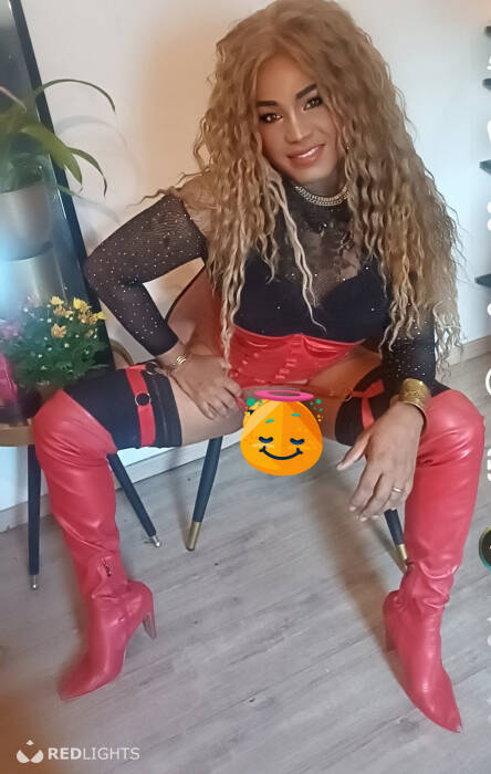 TRANS HOT (Foto)