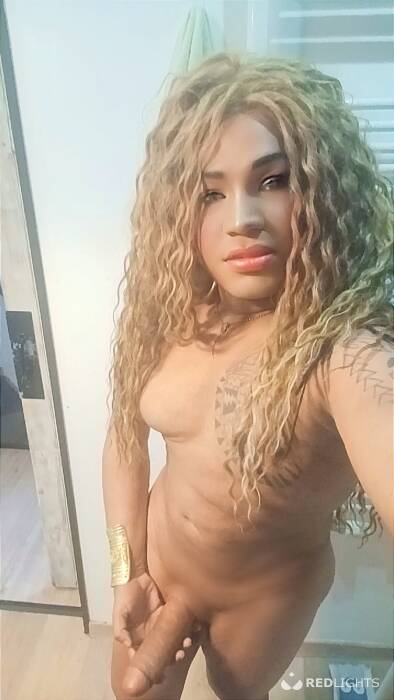 TRANS  LATINA (Foto)