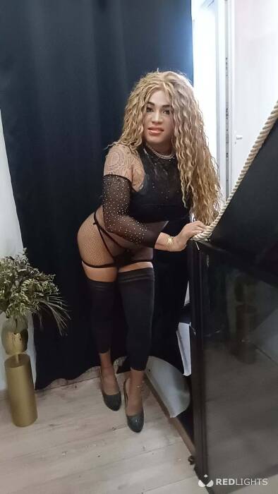 TRANS  LATINA (Foto)