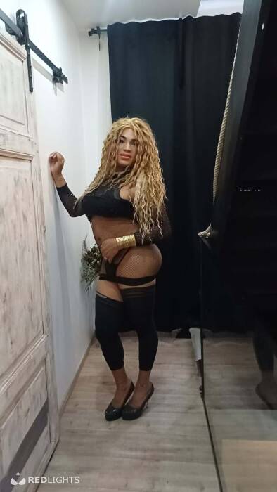 TRANS  LATINA (Foto)
