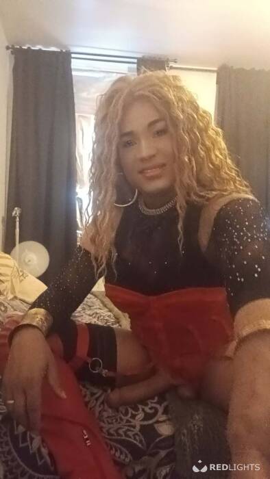 TRANS  LATINA (Foto)