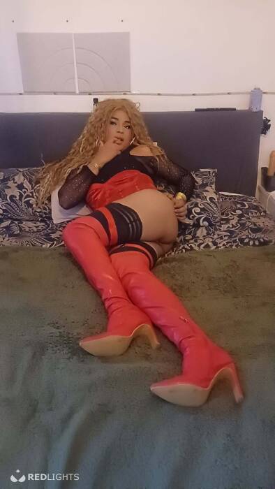 TRANS  LATINA (Foto)