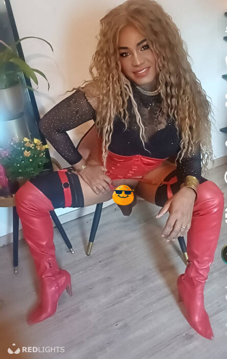 TRANS  LATINA (Foto)
