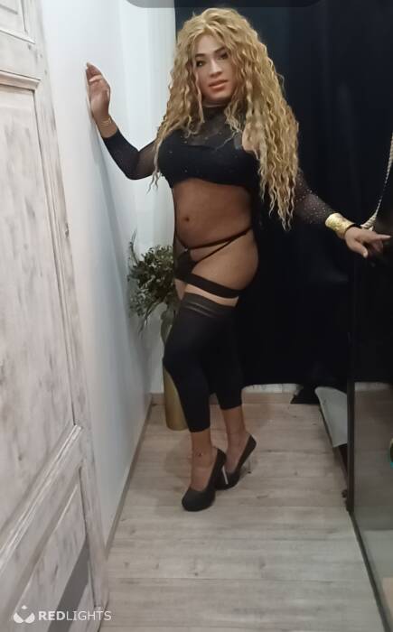 TRANS  LATINA (Foto)