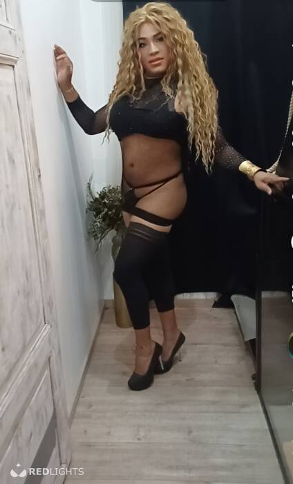 TRANS  LATINA (Foto)
