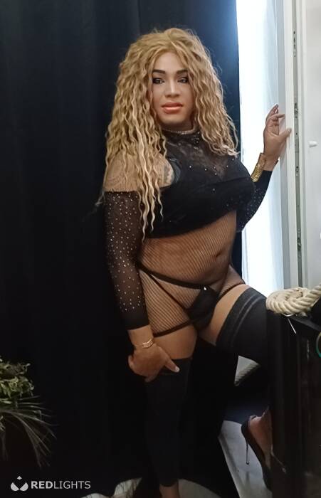 TRANS  LATINA (Foto)