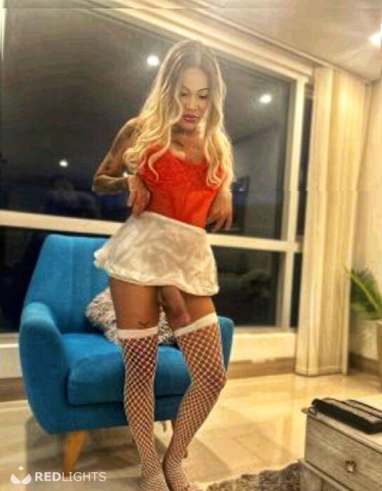 TRANS  LATINA (Foto)