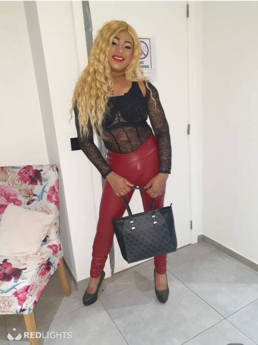 TRANS  LATINA (Foto)