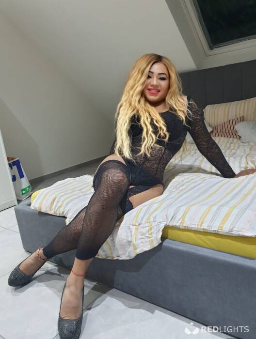 TRANS  LATINA (Foto)