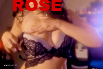 Rose (Foto)