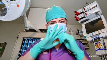 Meesteres Katharina (Foto)