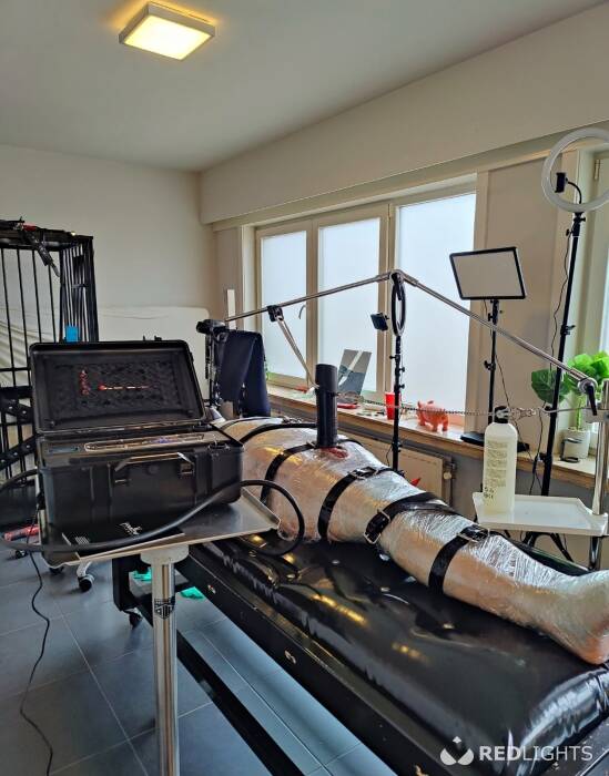 Meesteres Katharina (Foto)