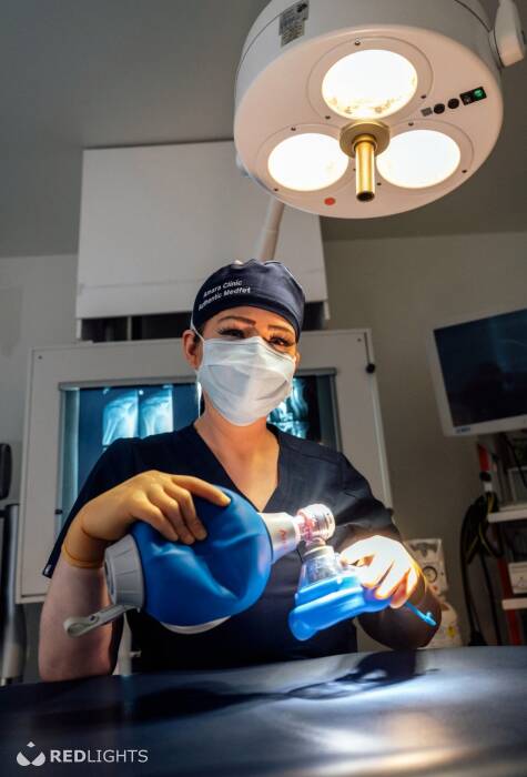 Meesteres Katharina (Foto)